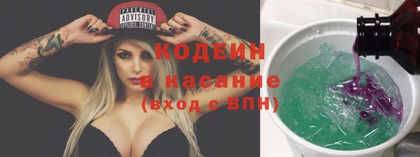 МДПВ Каменка