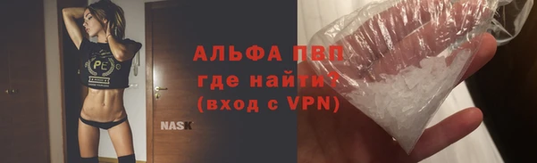 МДПВ Каменка