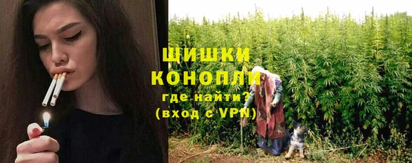 МДПВ Каменка