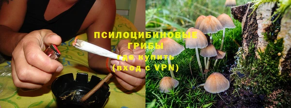 МДПВ Каменка