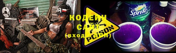 МДПВ Каменка