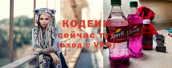 МДПВ Каменка