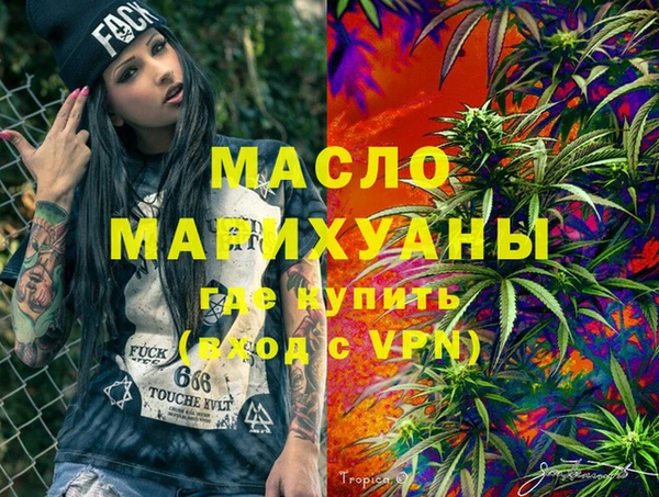 МДПВ Каменка