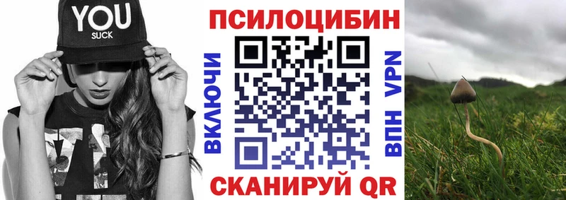 Купить где  Ясный  Галлюциногенные грибы Psilocybe 